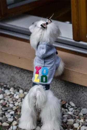 YOLO Hoodie